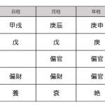 さんちゃんの四柱推命鑑定結果