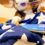 「感謝しましょう」と言われて感謝出来るか問題について